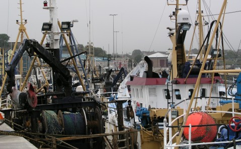 IRL-Kilkee-Hafen-11-01